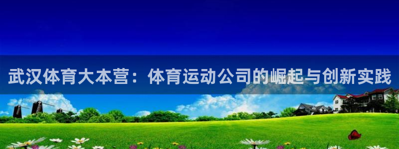 风速体育直播
