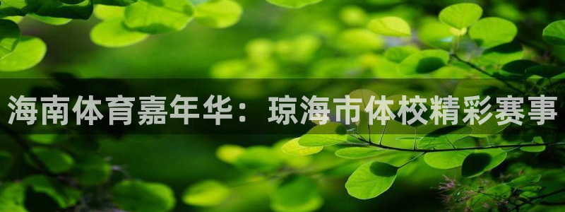 风速体育下载