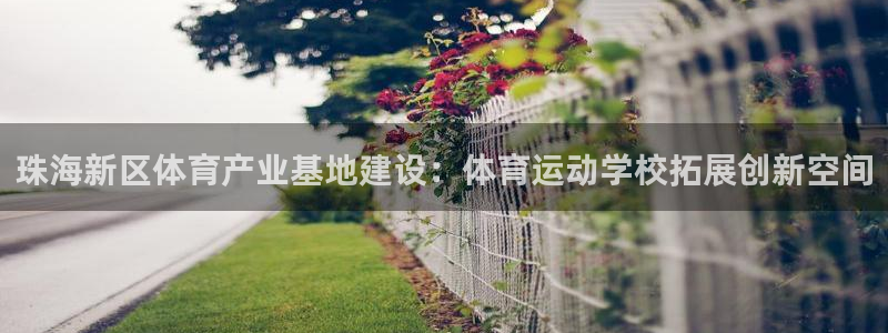风速体育直播app