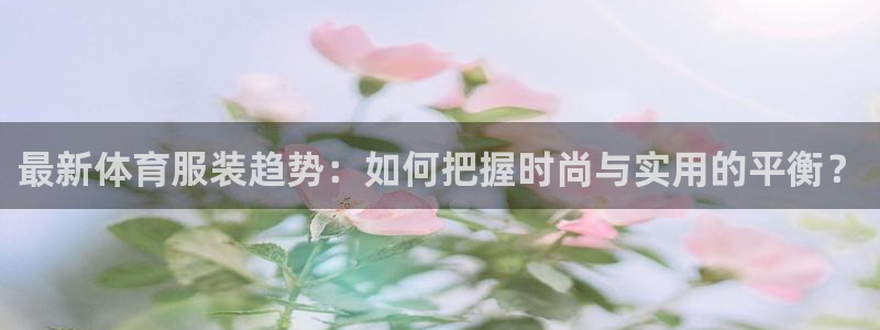 风速体育