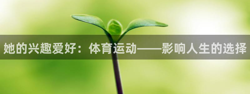 风速体育直播