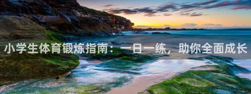 风速体育直播
