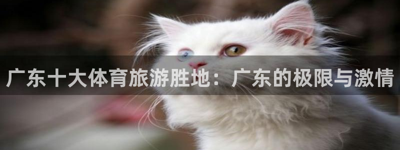 风速体育nba直播：广东十大体育旅游胜地：广东的极限与激情