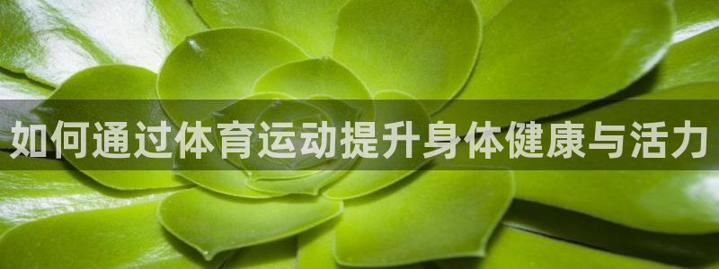 风速体育app下载安装最新版本：如何通过体育运动提升身体健康与活力
