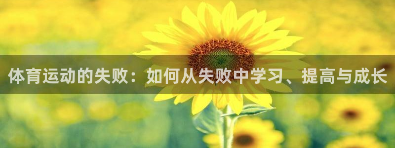 风速体育直播：体育运动的失败：如何从失败中学习、提高与成长
