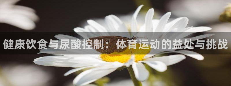 风速体育直播app：健康饮食与尿酸控制：体育运动的益处与挑战