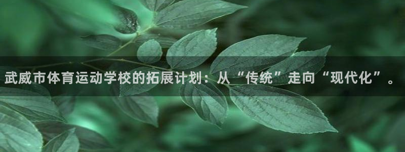 风速体育下载：武威市体育运动学校的拓展计划：从“传统”走向“现代化”。