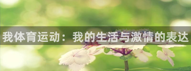 风速体育直播app：我体育运动：我的生活与激情的表达