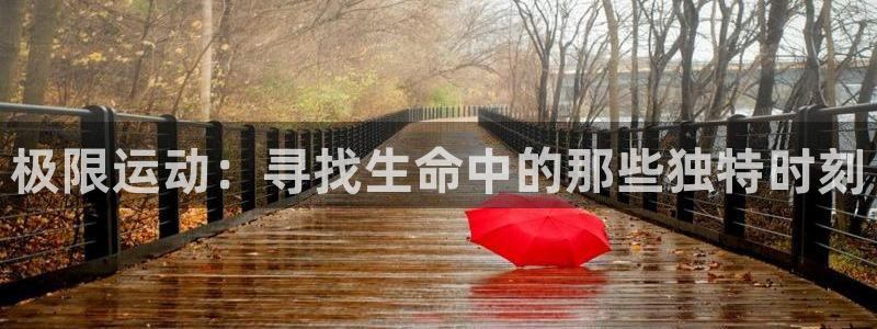 风速体育官网：极限运动：寻找生命中的那些独特时刻
