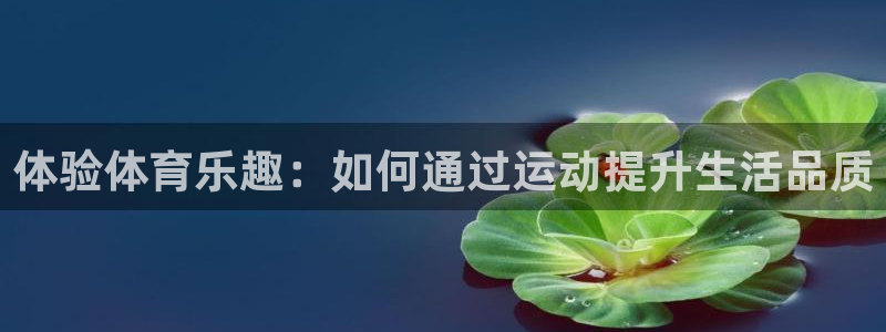 风速体育cba直播：体验体育乐趣：如何通过运动提升生活品质