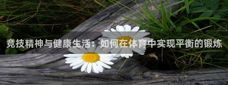 风速体育直播app：竞技精神与健康生活：如何在体育中实现平衡的锻炼