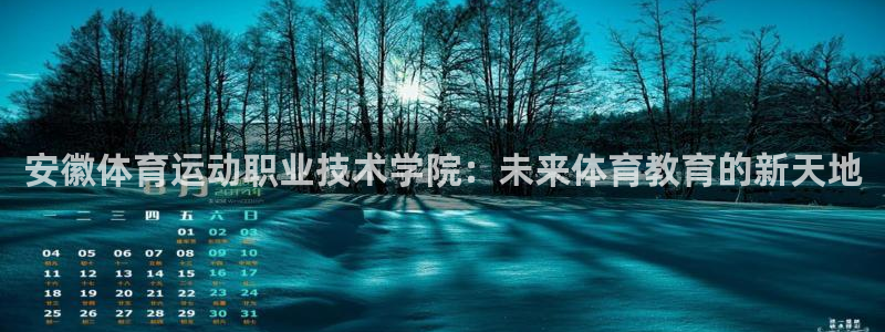 下载风速体育：安徽体育运动职业技术学院：未来体育教育的新天地