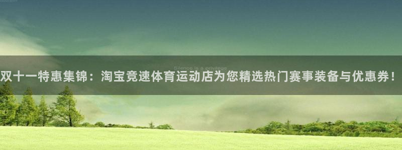 下载风速体育：双十一特惠集锦：淘宝竞速体育运动店为您精选热门赛事装备与优惠券！